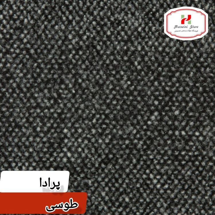 طوسی
